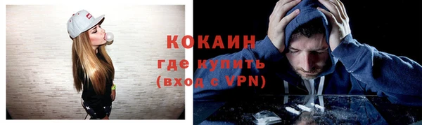 ешки Инта